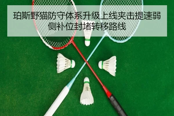 珀斯野猫防守体系升级上线夹击提速弱侧补位封堵转移路线