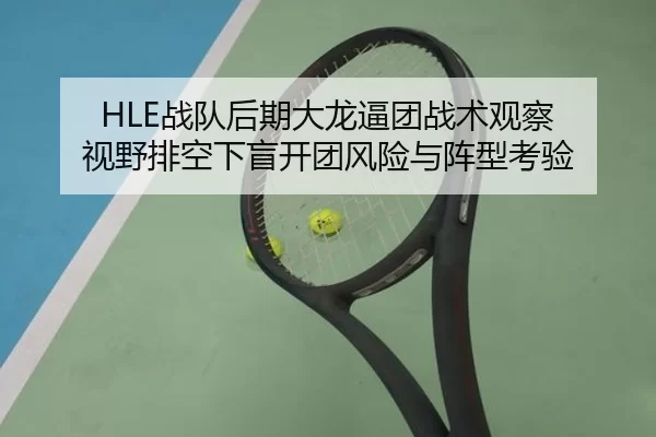 HLE战队后期大龙逼团战术观察 视野排空下盲开团风险与阵型考验